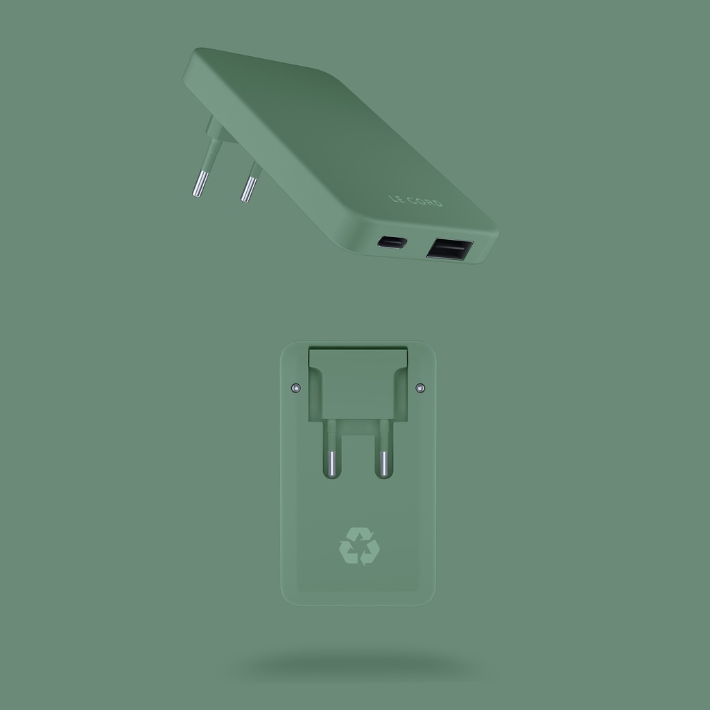 Recharger Plug Dual Pale Pine