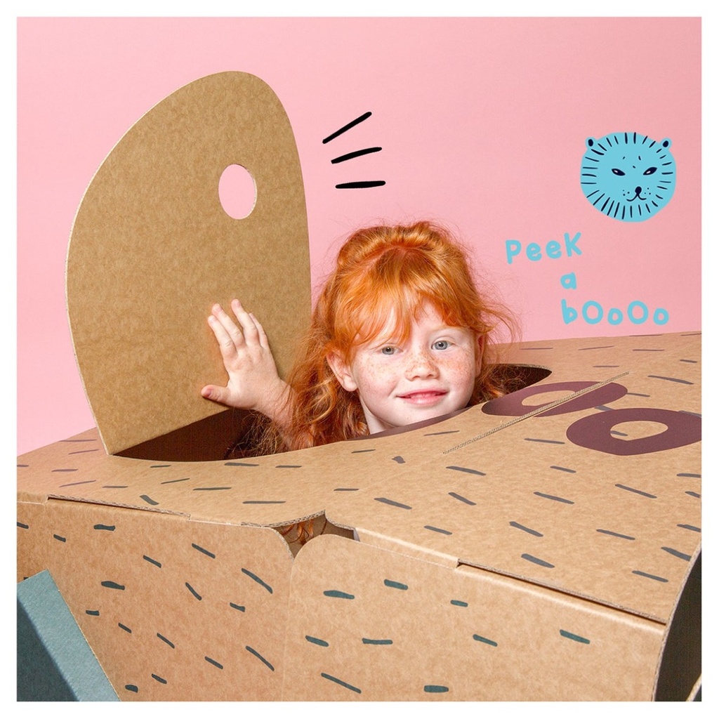 LA CABANE LION