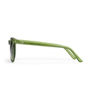 Anchor Point Forest Green/Green