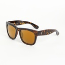 Haze Turtle brown / Brown