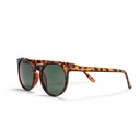 Toro Turtle Brown / Green