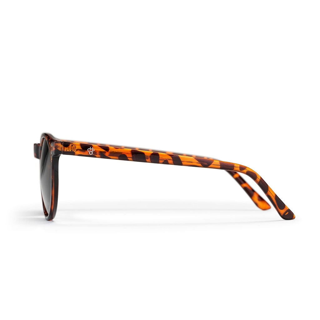 Toro Turtle Brown / Green