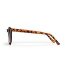 Toro Turtle Brown / Green