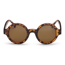 Sarah Turtle Brown / Brown