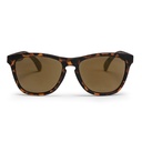 Bodhi Turtle Brown / Brown