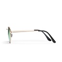 Ian Gold/Green Mirror