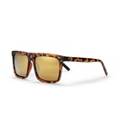 Bruce Turtle Brown / Gold