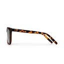 Bruce Turtle Brown / Gold
