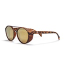 Rickard Turtle Brown / Gold