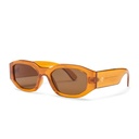 BROOKLYN Mustard / Brown
