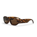 BROOKLYN Turtle Brown / Brown