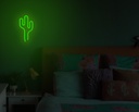 GINGA CACTUS