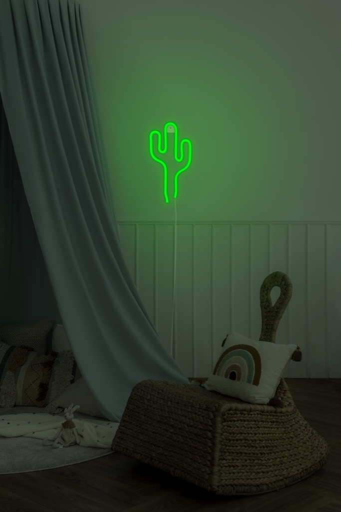 GINGA CACTUS