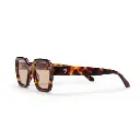 THE AK Turtle Brown / Brown
