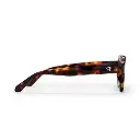 THE AK Turtle Brown / Brown
