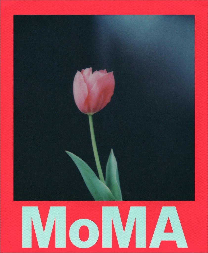 Color film for i-Type - Moma Edition