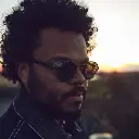 Rickard Forest Green / Green