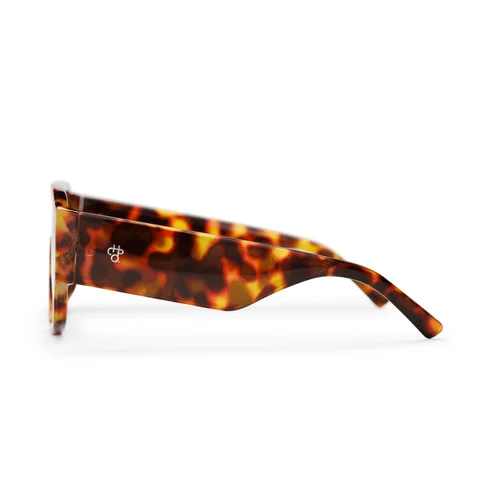 Prenzlauer Turtle Brown / Brown