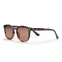 Alva Turtle Brown / Brown