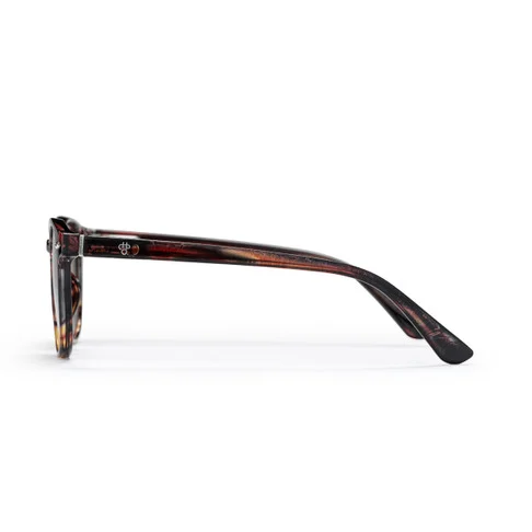Alva Turtle Brown / Brown