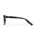 Alva Turtle Brown / Brown