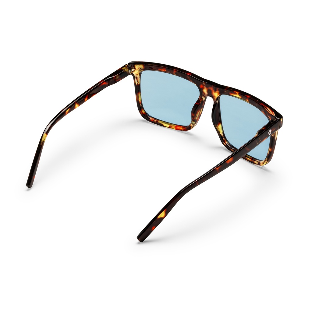 BRUCE TURTLE BROWN / LIGHT BLUE
