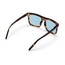 BRUCE TURTLE BROWN / LIGHT BLUE