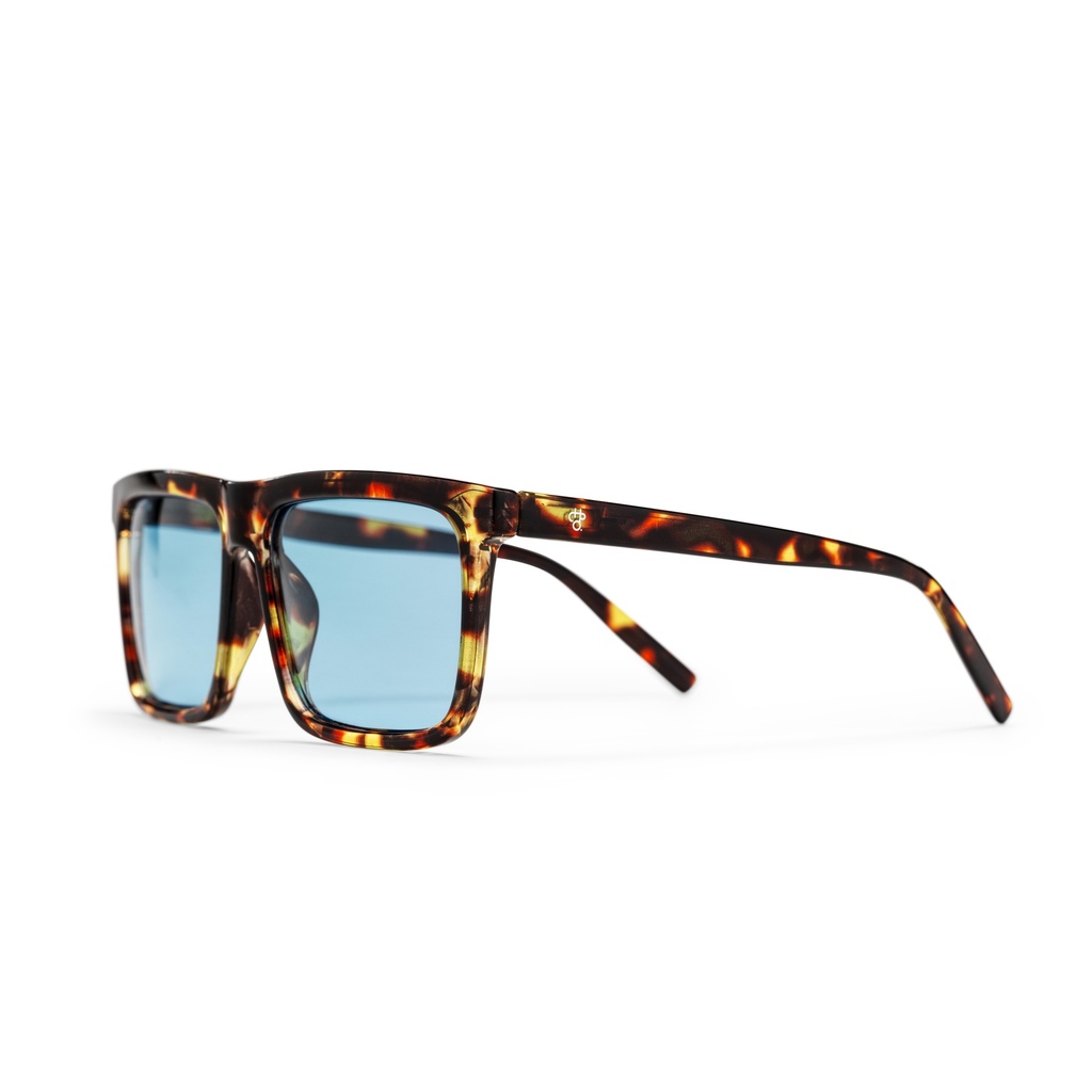 BRUCE TURTLE BROWN / LIGHT BLUE