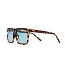 BRUCE TURTLE BROWN / LIGHT BLUE