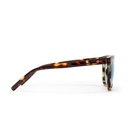 BRUCE TURTLE BROWN / LIGHT BLUE