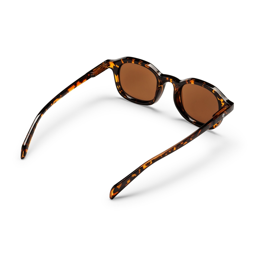 ANKI TURTLE BROWN / BROWN