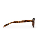 ANKI TURTLE BROWN / BROWN