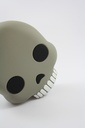 Skull Batterie