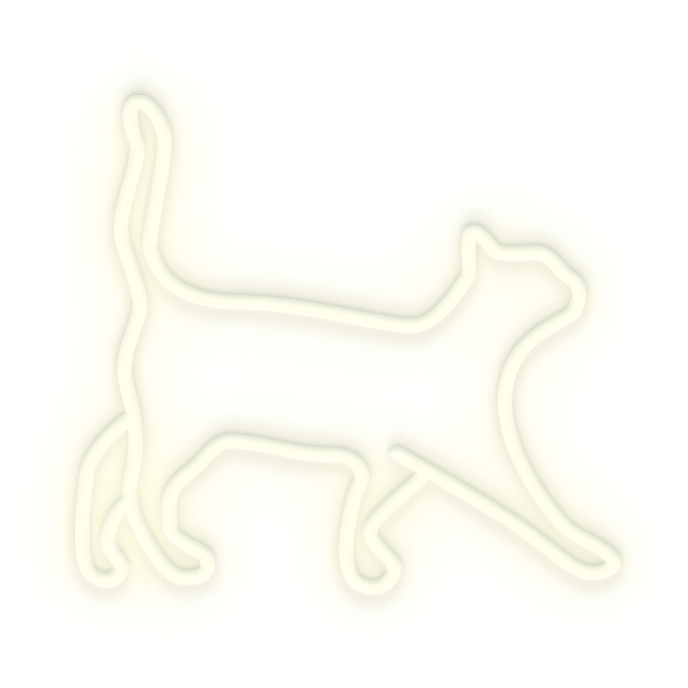 Cat 40