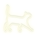 Cat 40
