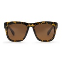 Haze Turtle Brown / Brown