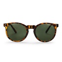 Toro Turtle Brown / Green