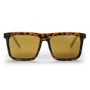 Bruce Turtle Brown / Gold