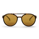 Rickard Turtle Brown / Gold