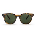 Toro X Turtle Brown / Green