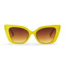 Sue Lemon / Brown