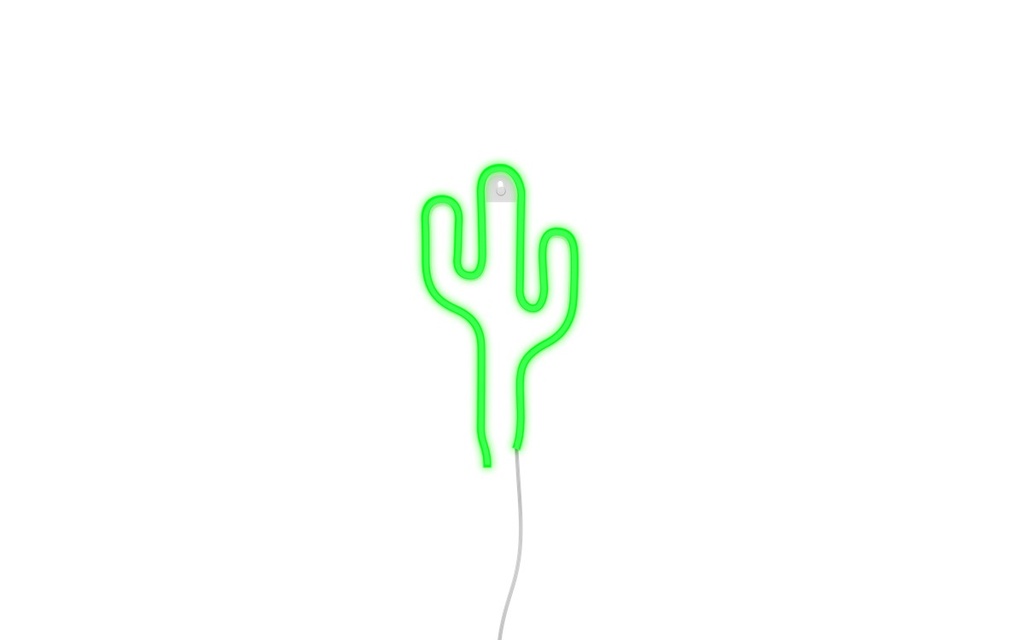 GINGA CACTUS