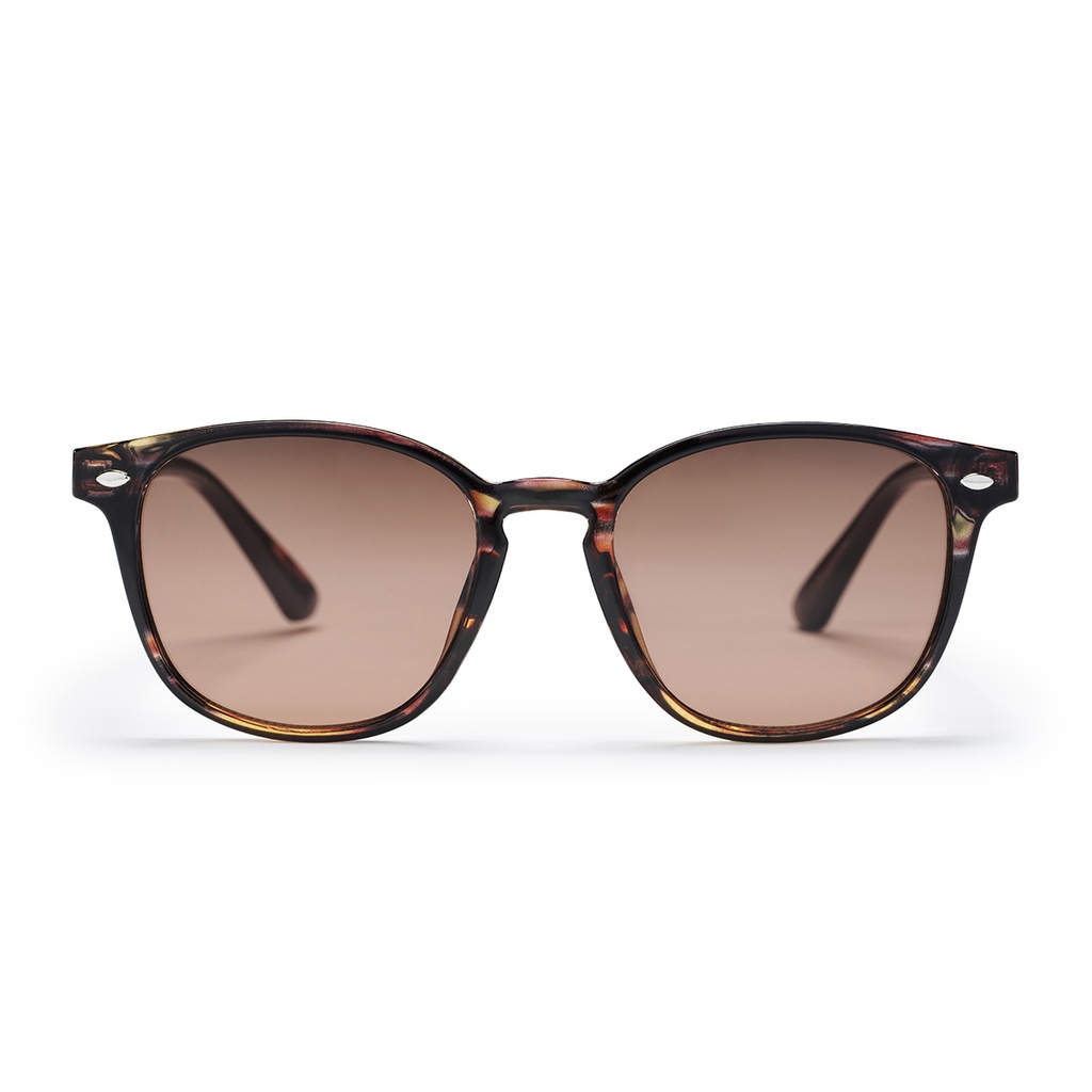 Alva Turtle Brown / Brown