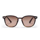 Alva Turtle Brown / Brown