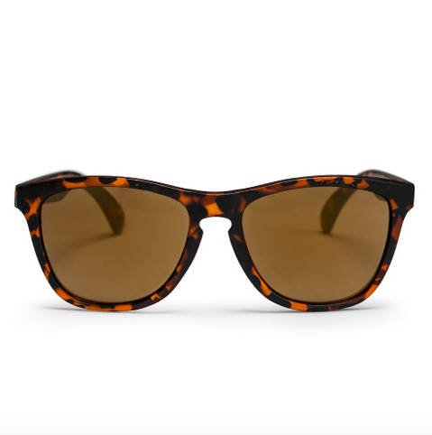 Bodhi Turtle Brown / Brown