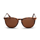Roma Turtle Brown / Brown