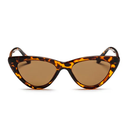 Amy Turtle Brown / Brown