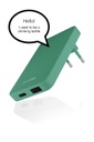 Recharger Plug Dual Pale Pine