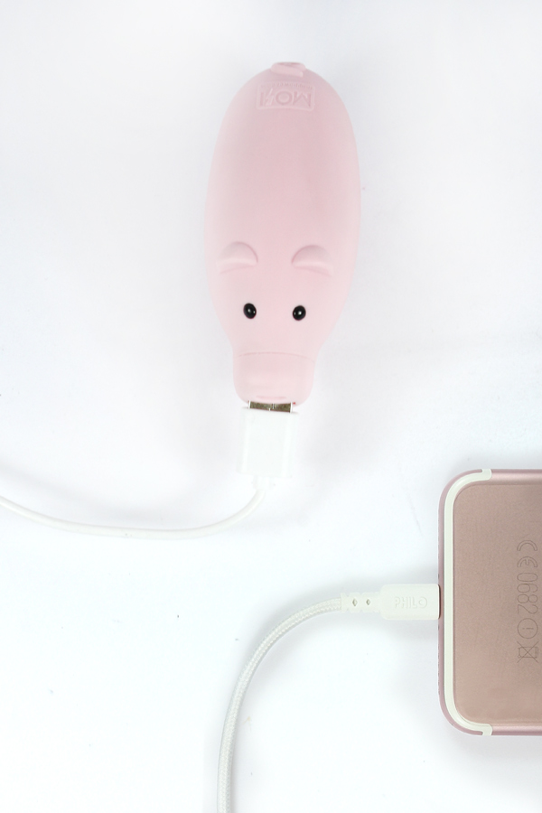 [MP001PI] Piggy Batterie
