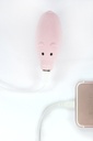 Piggy Batterie